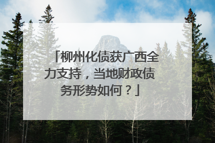 柳州化债获广西全力支持，当地财政债务形势如何？