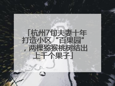 杭州7旬夫妻十年打造小区“百果园”，两棵猕猴桃树结出上千个果子