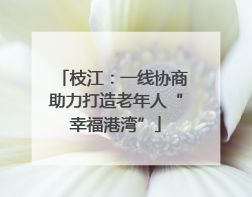 枝江：一线协商助力打造老年人“幸福港湾”