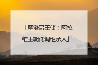 摩洛哥王储：阿拉维王朝低调继承人