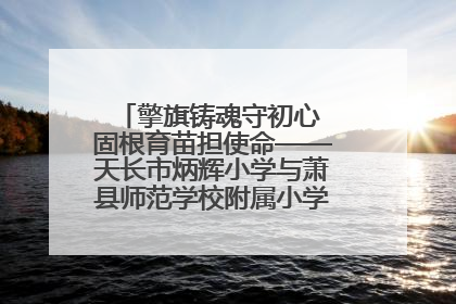 擎旗铸魂守初心 固根育苗担使命——天长市炳辉小学与萧县师范学校附属小学结对共建活动纪实