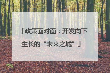 政策面对面：开发向下生长的“未来之城”