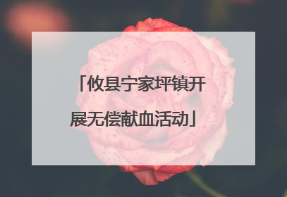 攸县宁家坪镇开展无偿献血活动