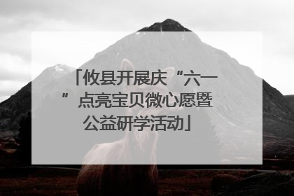 攸县开展庆“六一”点亮宝贝微心愿暨公益研学活动