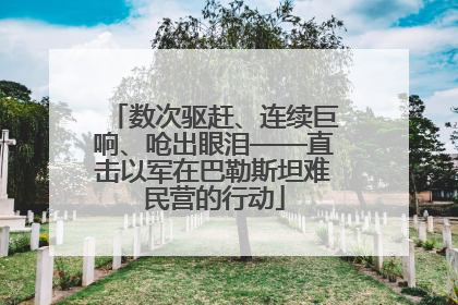 数次驱赶、连续巨响、呛出眼泪——直击以军在巴勒斯坦难民营的行动