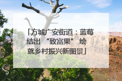 方城广安街道：蓝莓结出 “致富果” 绘就乡村振兴新图景