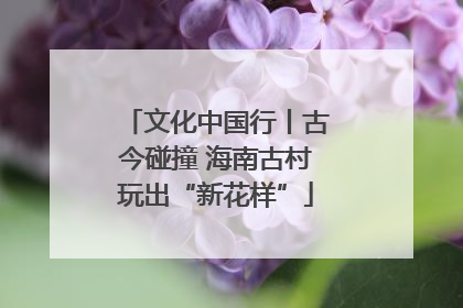 文化中国行丨古今碰撞 海南古村玩出“新花样”