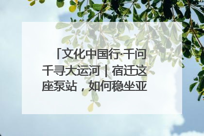 文化中国行·千问千寻大运河｜宿迁这座泵站，如何稳坐亚洲第一宝座？