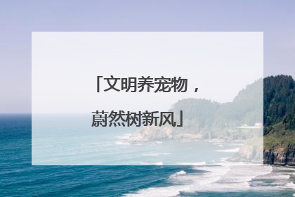 文明养宠物,蔚然树新风