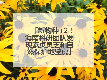 新物种+2！海南科研团队发现素贞灵芝和自然保护地壁虎