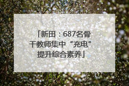 新田：687名骨干教师集中“充电” 提升综合素养