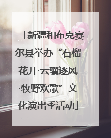 新疆和布克赛尔县举办“石榴花开·云骥逐风·牧野欢歌”文化演出季活动