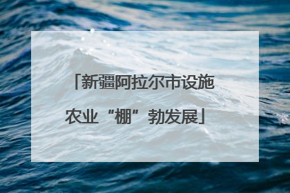 新疆阿拉尔市设施农业“棚”勃发展
