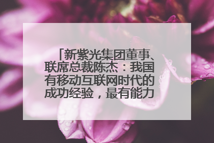 新紫光集团董事、联席总裁陈杰：我国有移动互联网时代的成功经验，最有能力做好AI应用创新