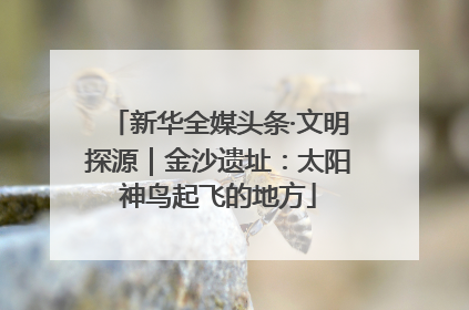 新华全媒头条·文明探源｜金沙遗址：太阳神鸟起飞的地方