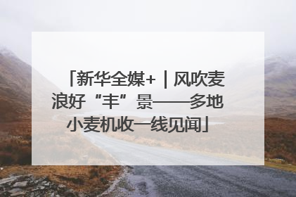 新华全媒+｜风吹麦浪好“丰”景——多地小麦机收一线见闻