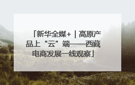 新华全媒+｜高原产品上“云”端——西藏电商发展一线观察