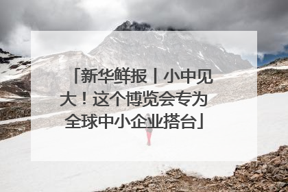 新华鲜报丨小中见大！这个博览会专为全球中小企业搭台