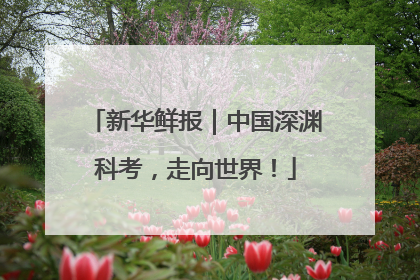 新华鲜报｜中国深渊科考，走向世界！