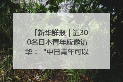 新华鲜报｜近300名日本青年应邀访华：“中日青年可以创造更好的未来”