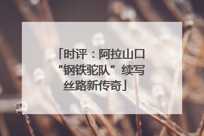 时评：阿拉山口“钢铁驼队”续写丝路新传奇