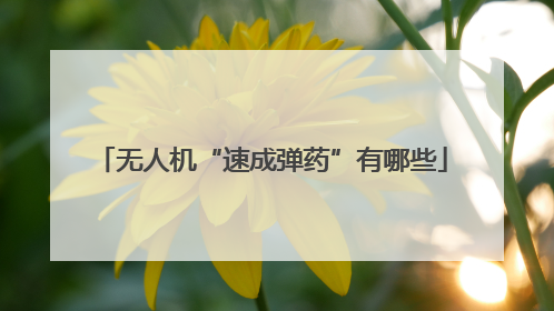无人机“速成弹药”有哪些