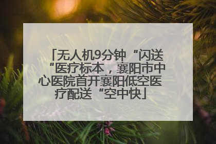 无人机9分钟“闪送“医疗标本，襄阳市中心医院首开襄阳低空医疗配送“空中快