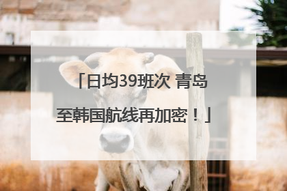 日均39班次 青岛至韩国航线再加密！