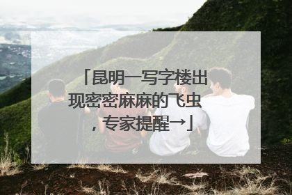 昆明一写字楼出现密密麻麻的飞虫，专家提醒→