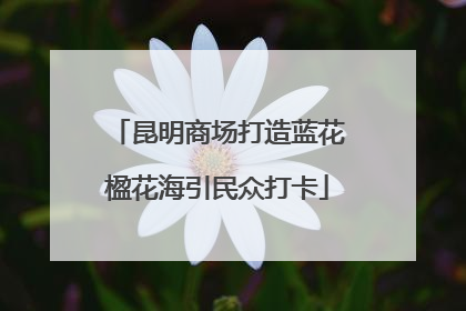 昆明商场打造蓝花楹花海引民众打卡
