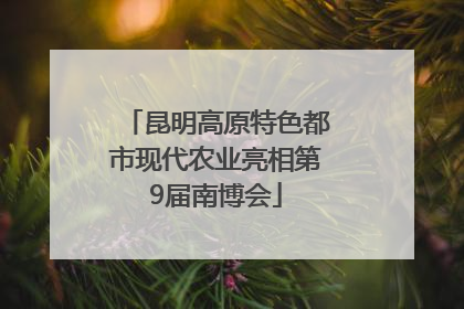 昆明高原特色都市现代农业亮相第9届南博会
