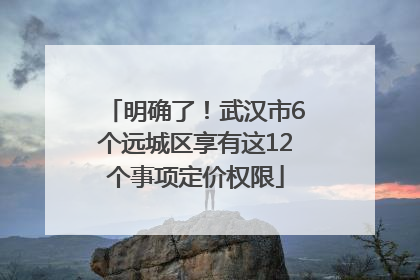 明确了！武汉市6个远城区享有这12个事项定价权限
