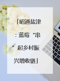昭通盐津：蓝莓“串”起乡村振兴增收链