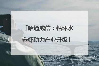 昭通威信：循环水养虾助力产业升级