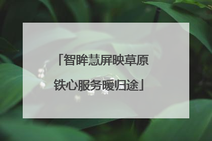 智眸慧屏映草原 铁心服务暖归途