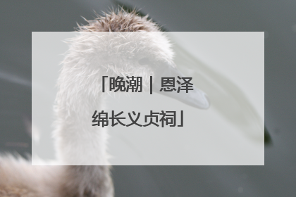 晚潮｜恩泽绵长义贞祠