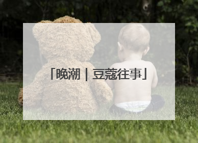 晚潮｜豆蔻往事