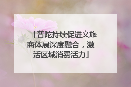 普陀持续促进文旅商体展深度融合，激活区域消费活力