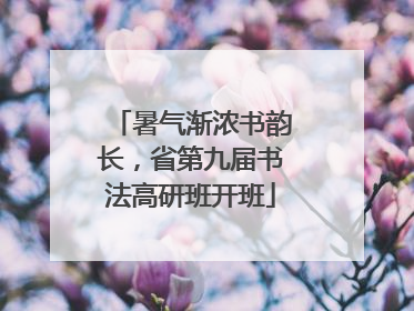 暑气渐浓书韵长，省第九届书法高研班开班