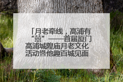 月老牵线，高浦有“囍”——首届厦门高浦城隍庙月老文化活动暨他趣百城见面会隆重举办