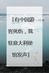 有中国游客死伤，我驻意大利使馆发声