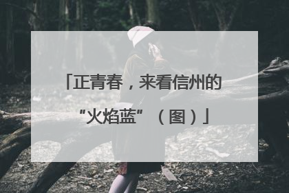 正青春，来看信州的“火焰蓝”（图）