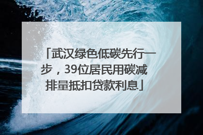 武汉绿色低碳先行一步，39位居民用碳减排量抵扣贷款利息
