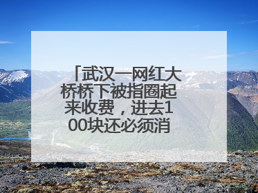 武汉一网红大桥桥下被指圈起来收费，进去100块还必须消费？当地回应