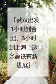 武汉出发1小时到合肥、3小时到上海，这条高铁有新进展
