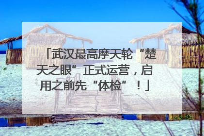 武汉最高摩天轮“楚天之眼”正式运营，启用之前先“体检”！