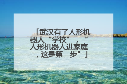 武汉有了人形机器人“学校”，“人形机器人进家庭，这是第一步”