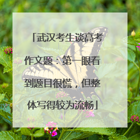 武汉考生谈高考作文题：第一眼看到题目很慌，但整体写得较为流畅