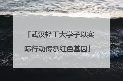 武汉轻工大学子以实际行动传承红色基因