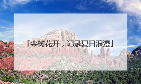 栾树花开，记录夏日浪漫